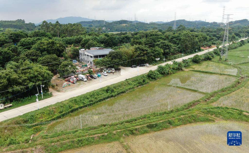 威尼斯app在那里玩下载